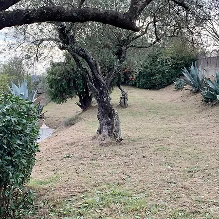 فيلة Les Frigoules Des Hauts De Fabiargues سانت-أمبروا